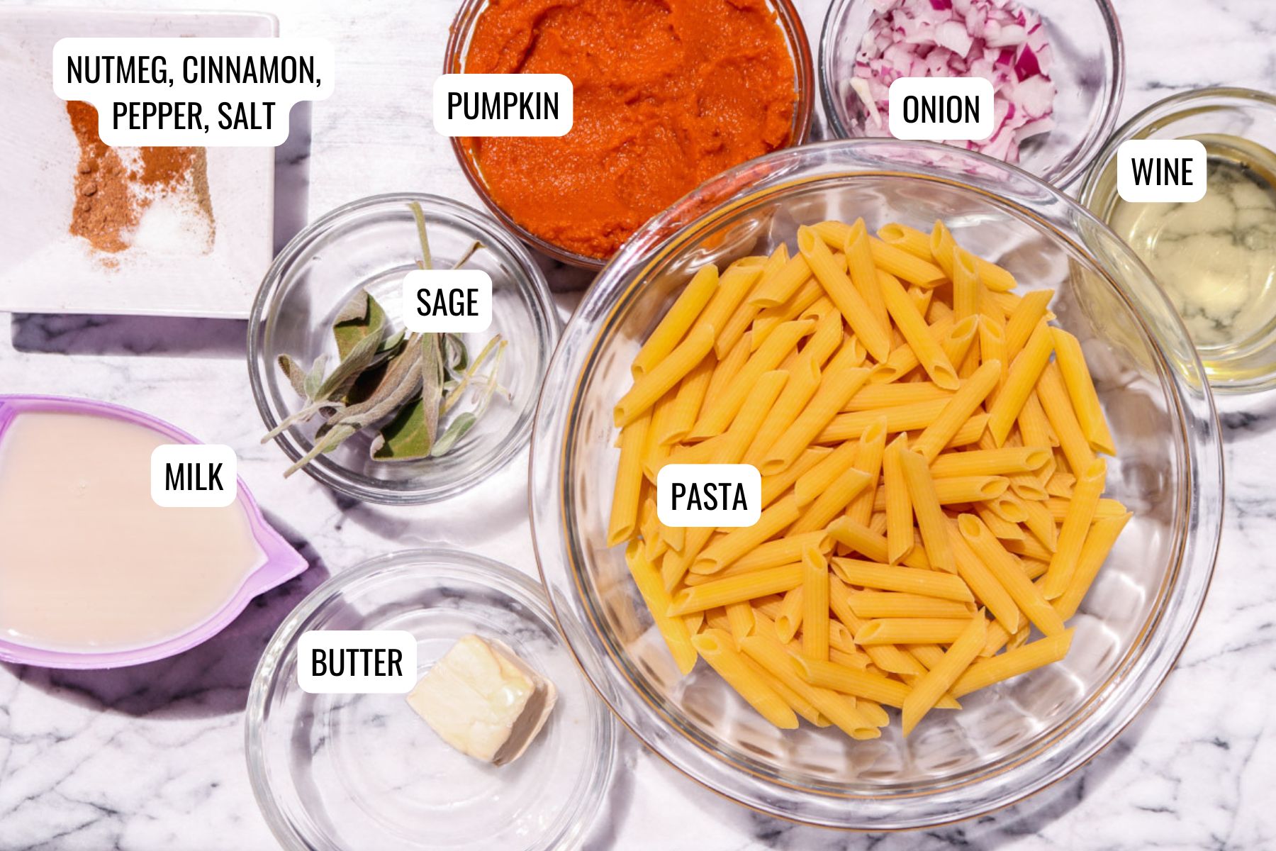 Pumpkin pasta ingredients.