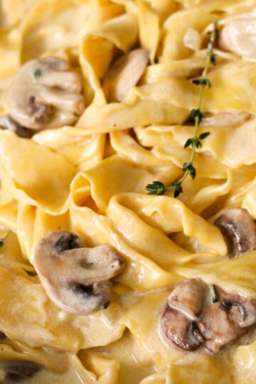 Creamy mushroom pasta closeup.