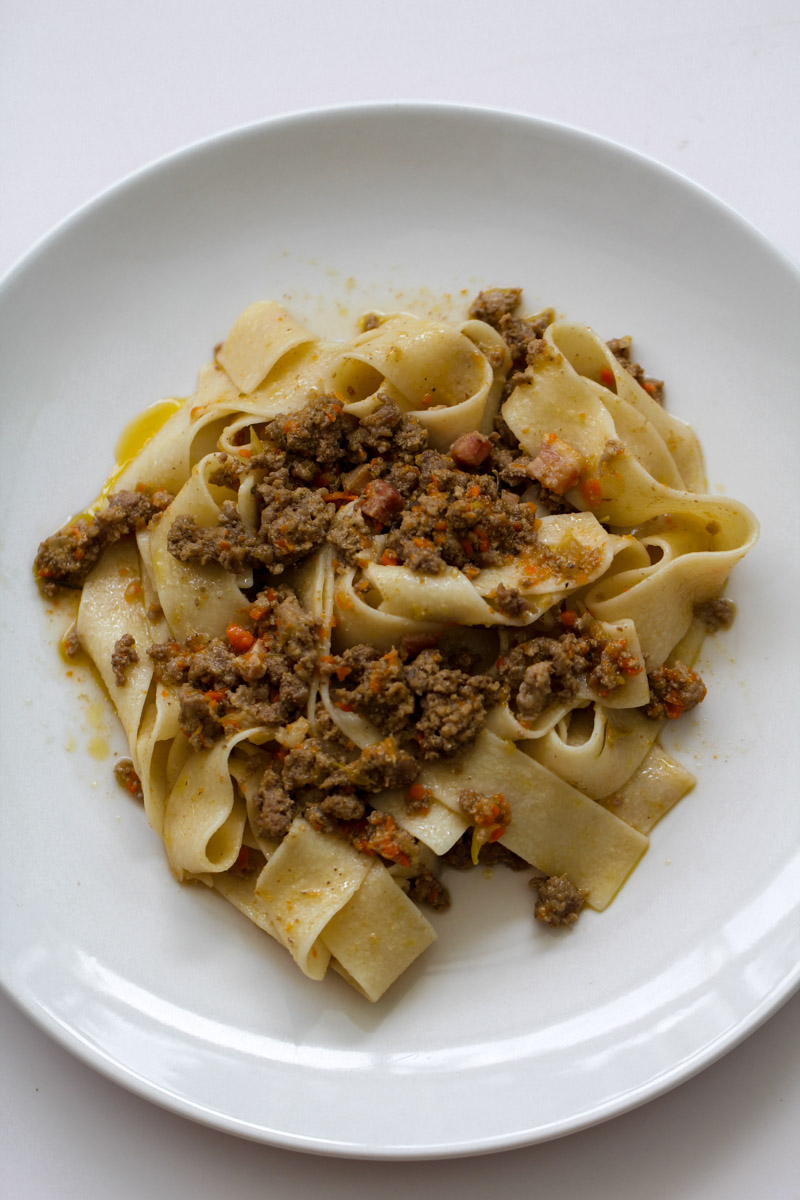 close up image of pasta with a white ragu sauce on a white plate. 