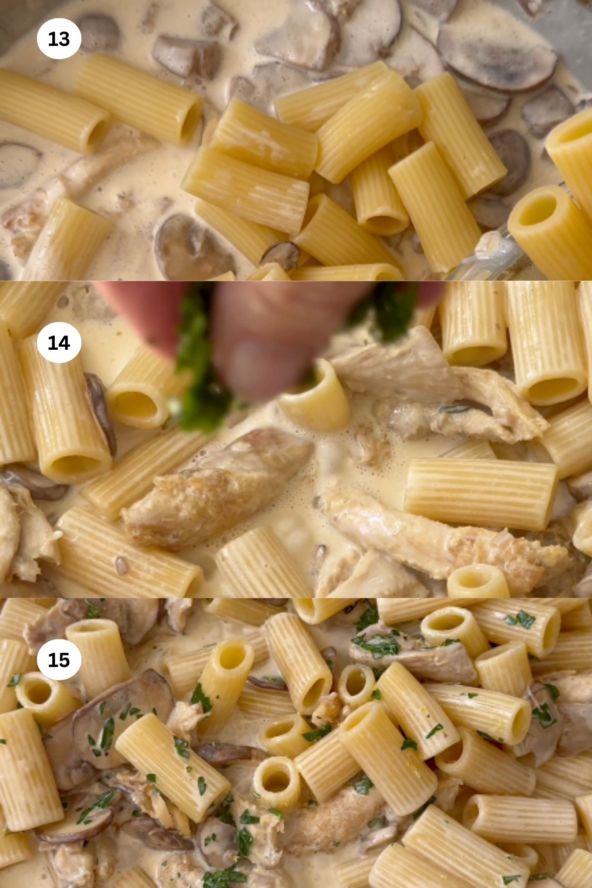Chicken and mushroom pasta step by step.